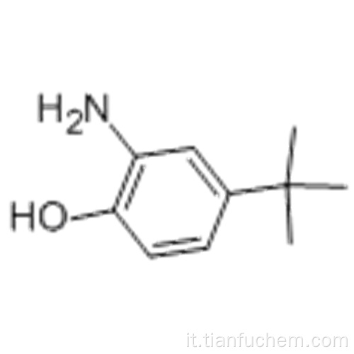 2-ammino-4-tert-butilfenolo CAS 1199-46-8